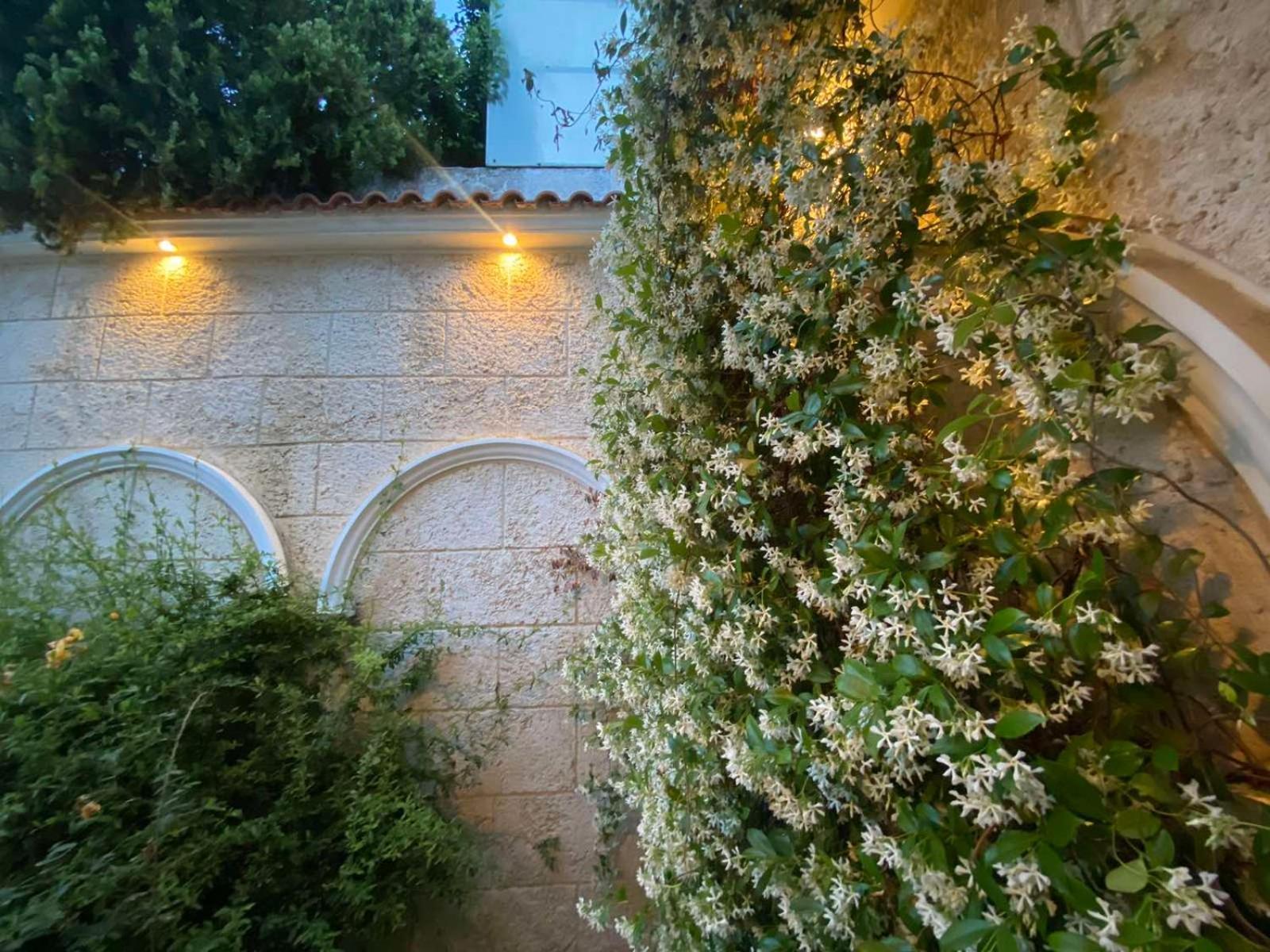 Filidas Apartments Skiathos Exterior foto